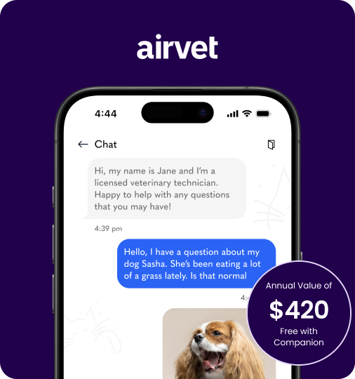 image of a mobile screen with a chat