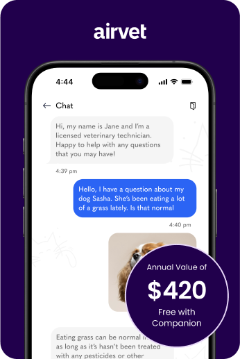 meet_airvet_banner_mobile