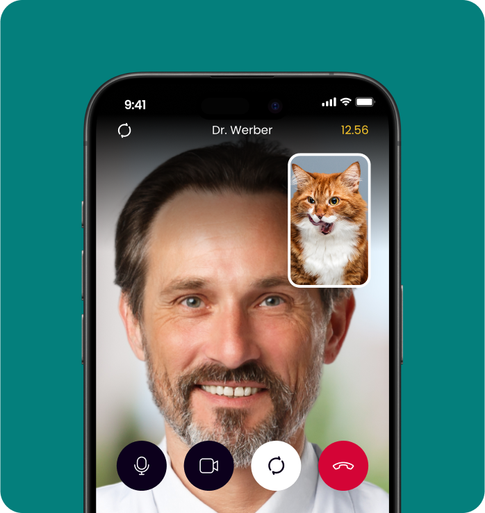 image of a vet on facetime with a cat
