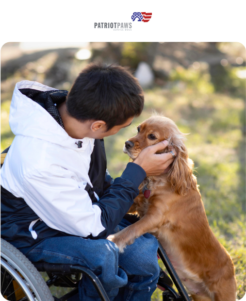image of a man on a wheelchair petting a dog
