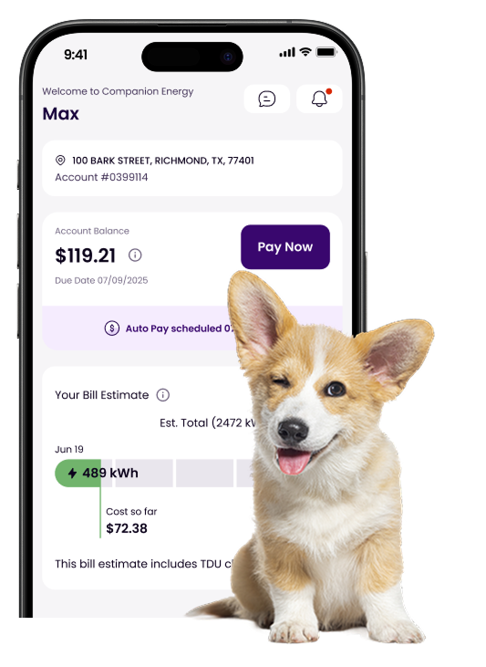 dog-phone-desktop