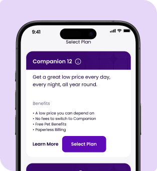slider1-mobile
