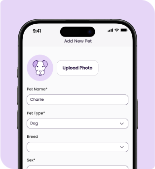 slider2-mobile