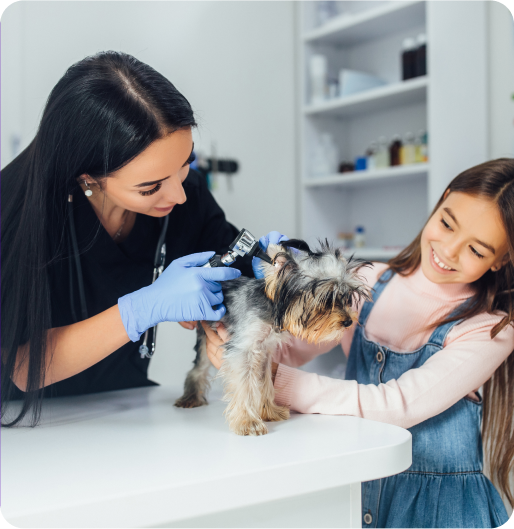vet-visit-banner