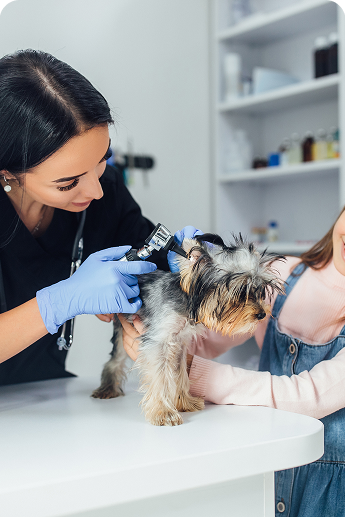 vet-visits-mobile