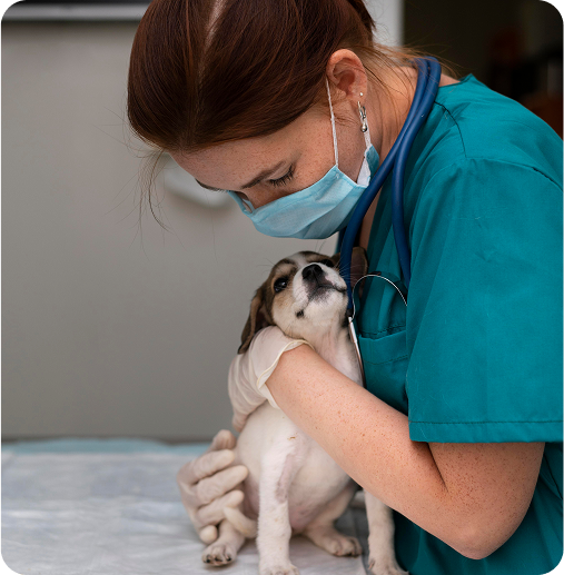 Vet with dog