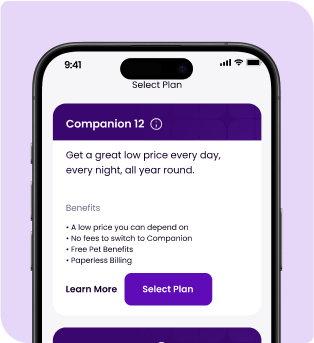 image of phone screen with detailed list of benefits for registering for pet benefits
