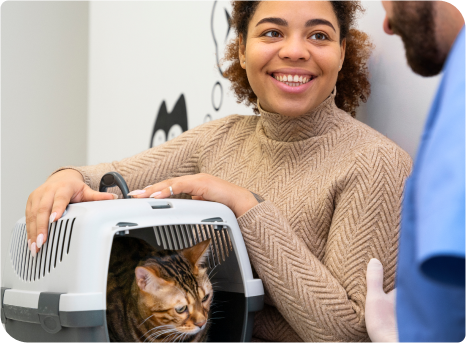 image of a cat in a travel bag at a vet